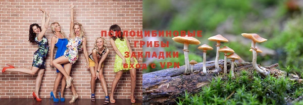 синтетический гашиш Алексеевка